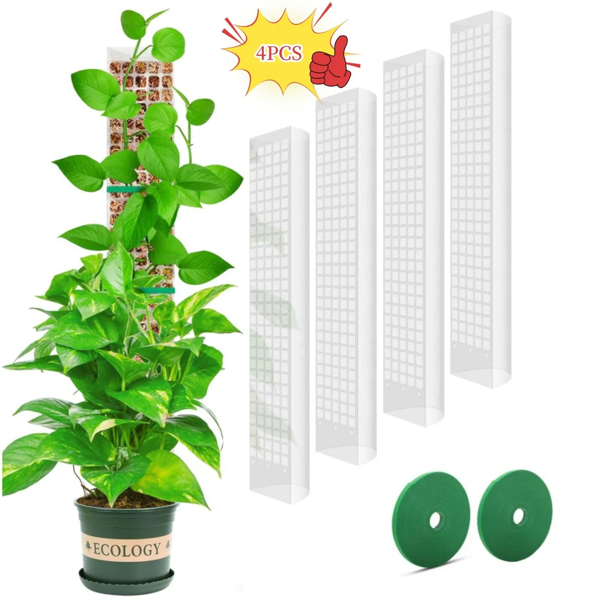 Moss Pole Plant Support for Climbing Plants