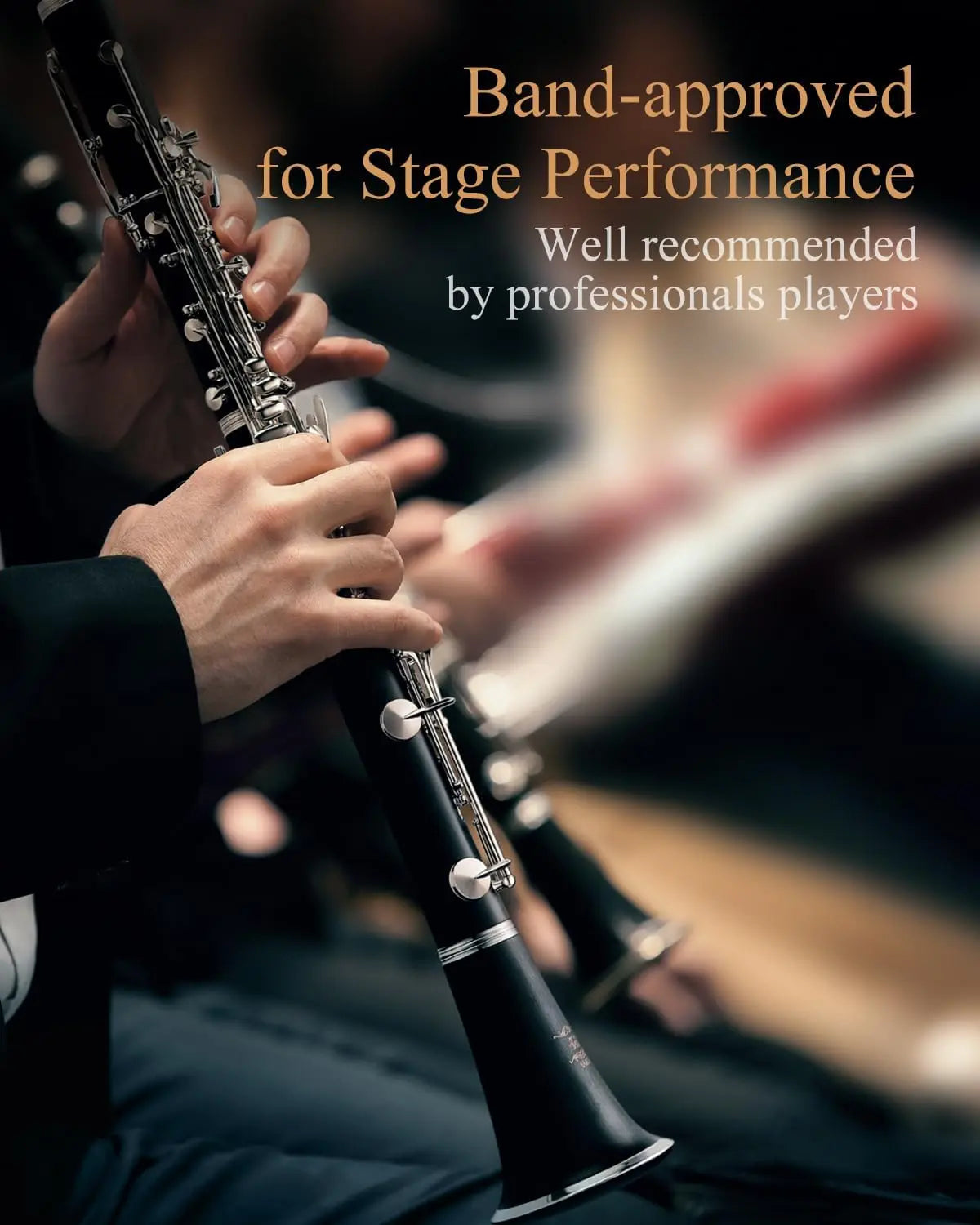 Bb Clarinet for Beginners With Silver Plated Keys and Case