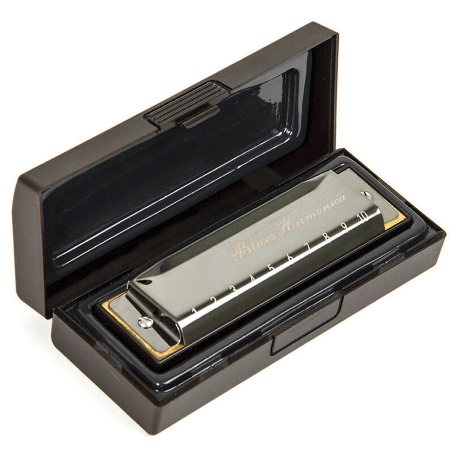10 Hole C Harmonica Blues Harp Phosphor Bronze Reeds Beginner Case Kit