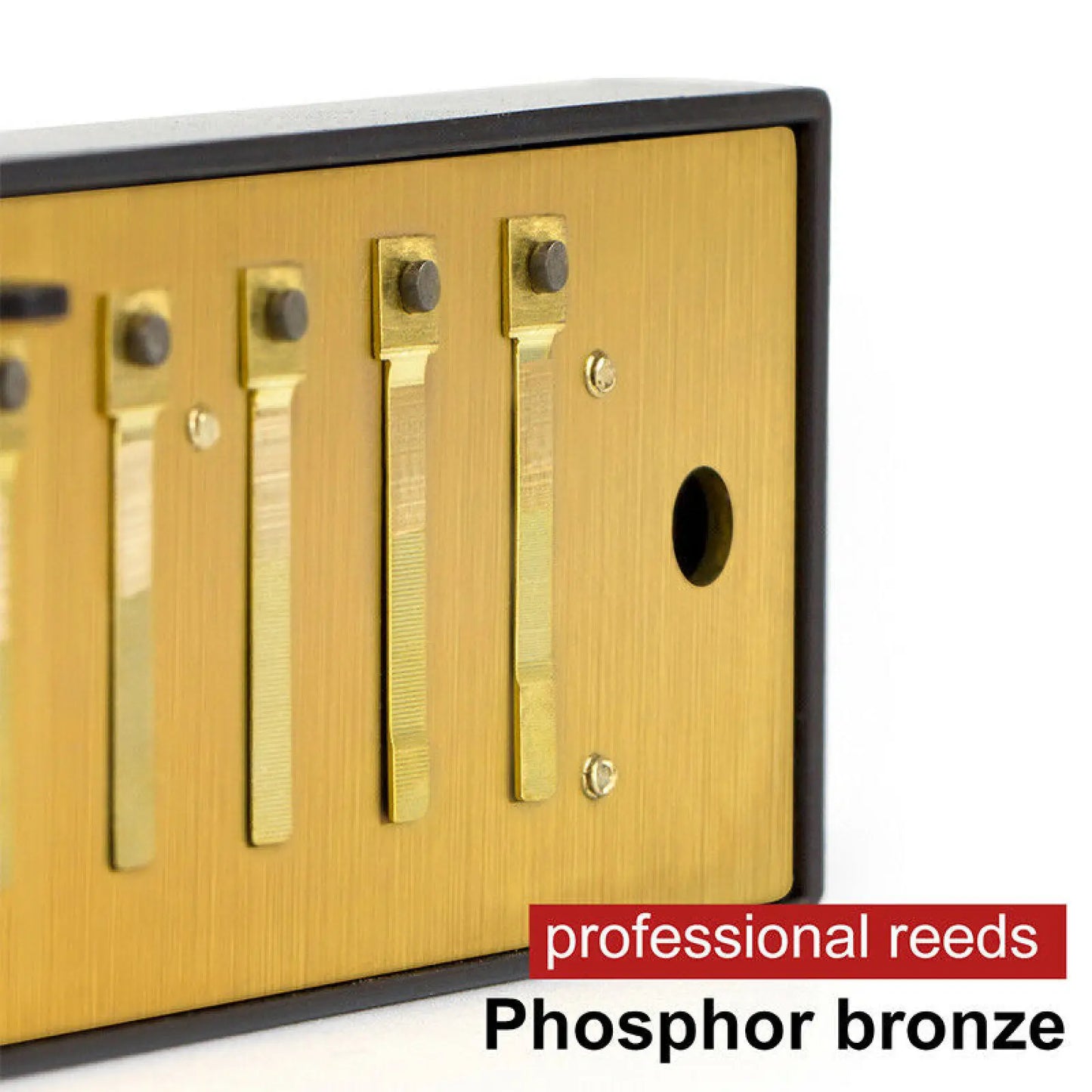 10 Hole C Harmonica Blues Harp Phosphor Bronze Reeds Beginner Case Kit