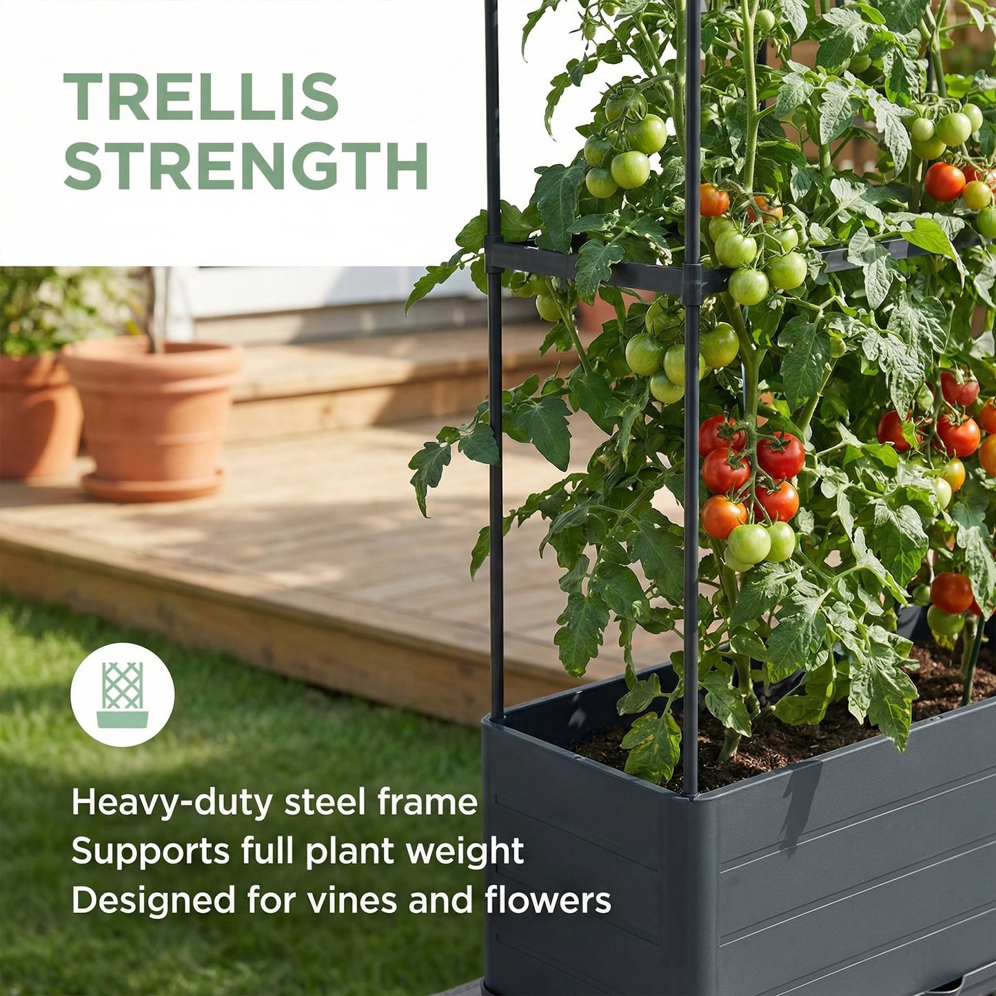 Raised Tomato Cage Planter With Trellis For Climbing Plants