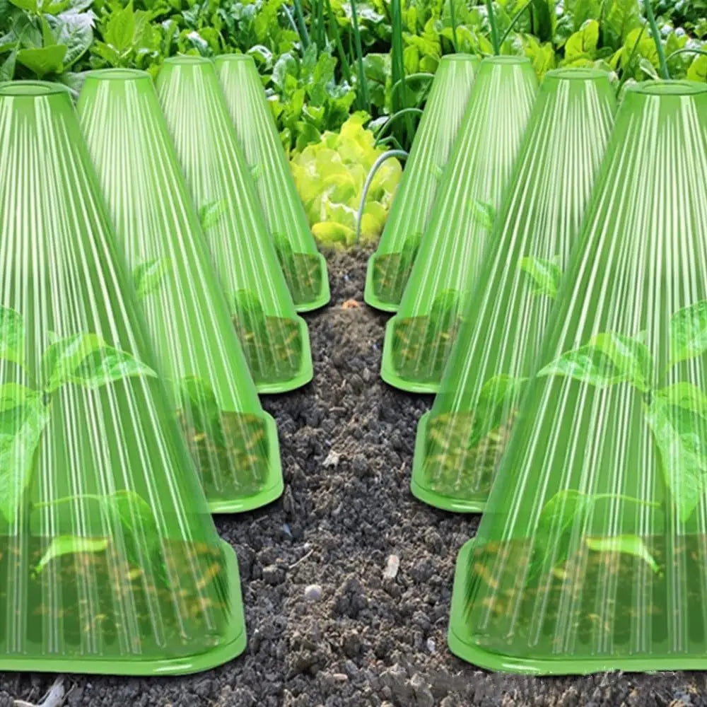 Plant Cloches Cover Reusable Snail Collar For Garden Protection