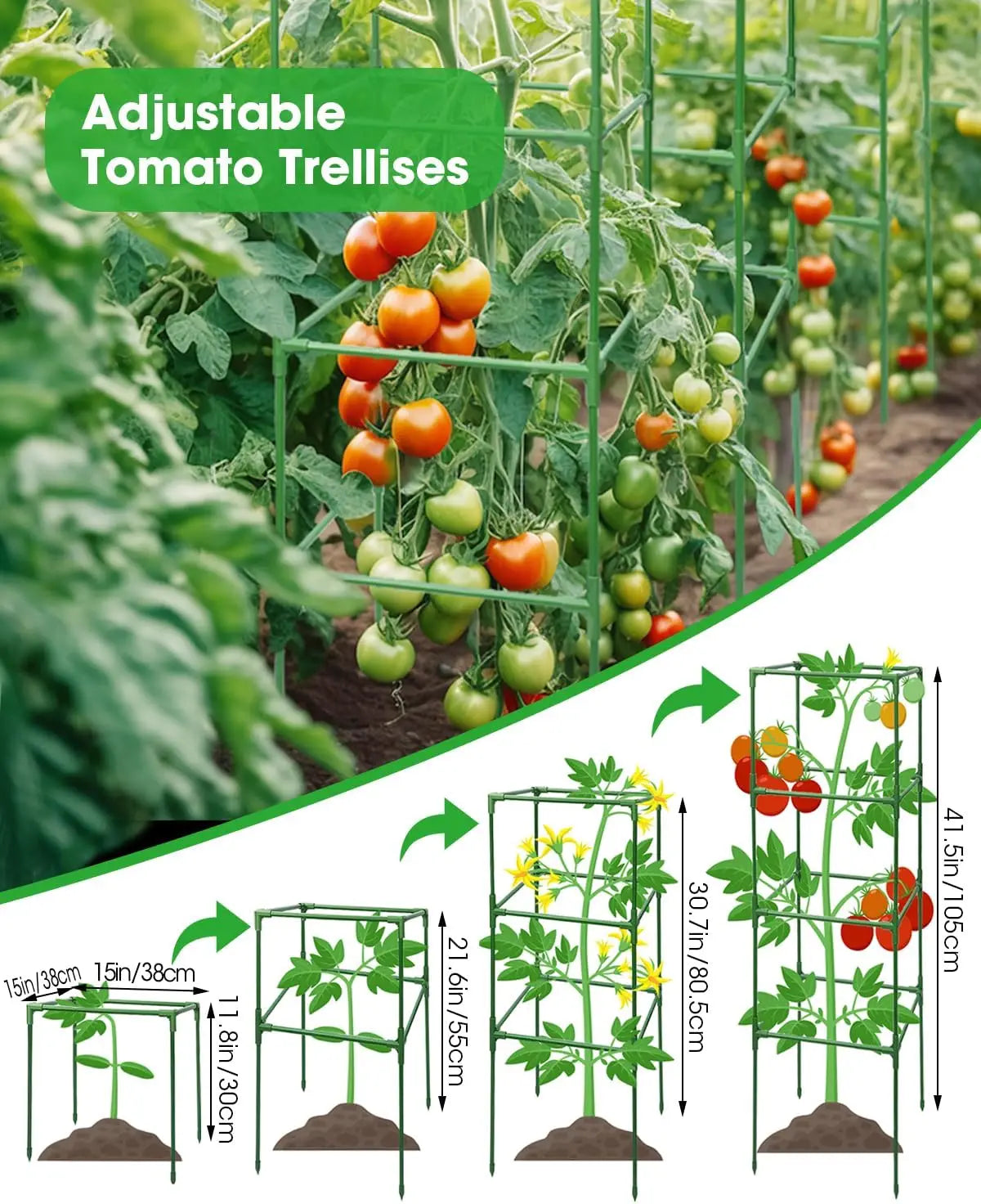 Six-Pack Square Tomato Cages, Adjustable Plant Trellis