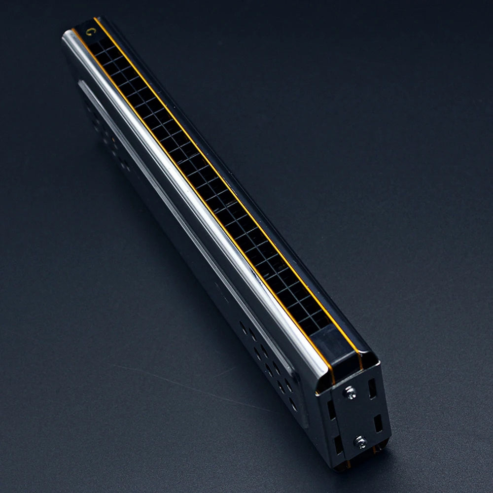 IRIN Swan 24 Holes Tremolo Harmonica C G Key Professional