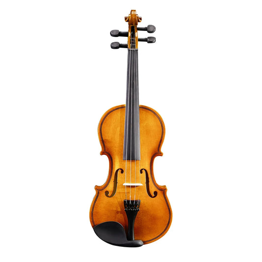 Acoustic Violin Outfit With Case Bow Shoulder Rest Rosin