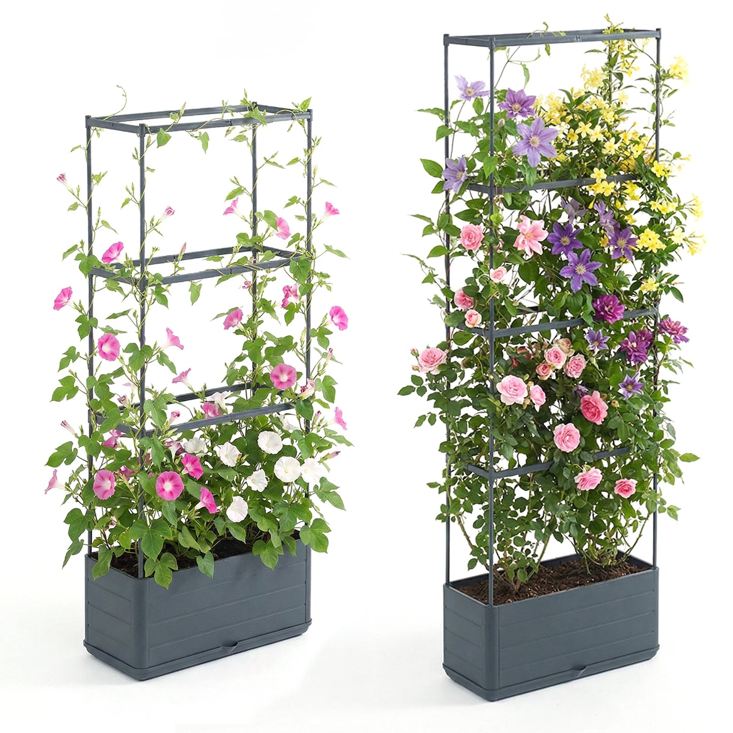 Raised Tomato Cage Planter With Trellis For Climbing Plants