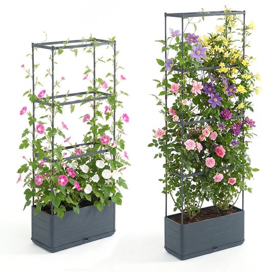 Raised Tomato Cage Planter With Trellis For Climbing Plants