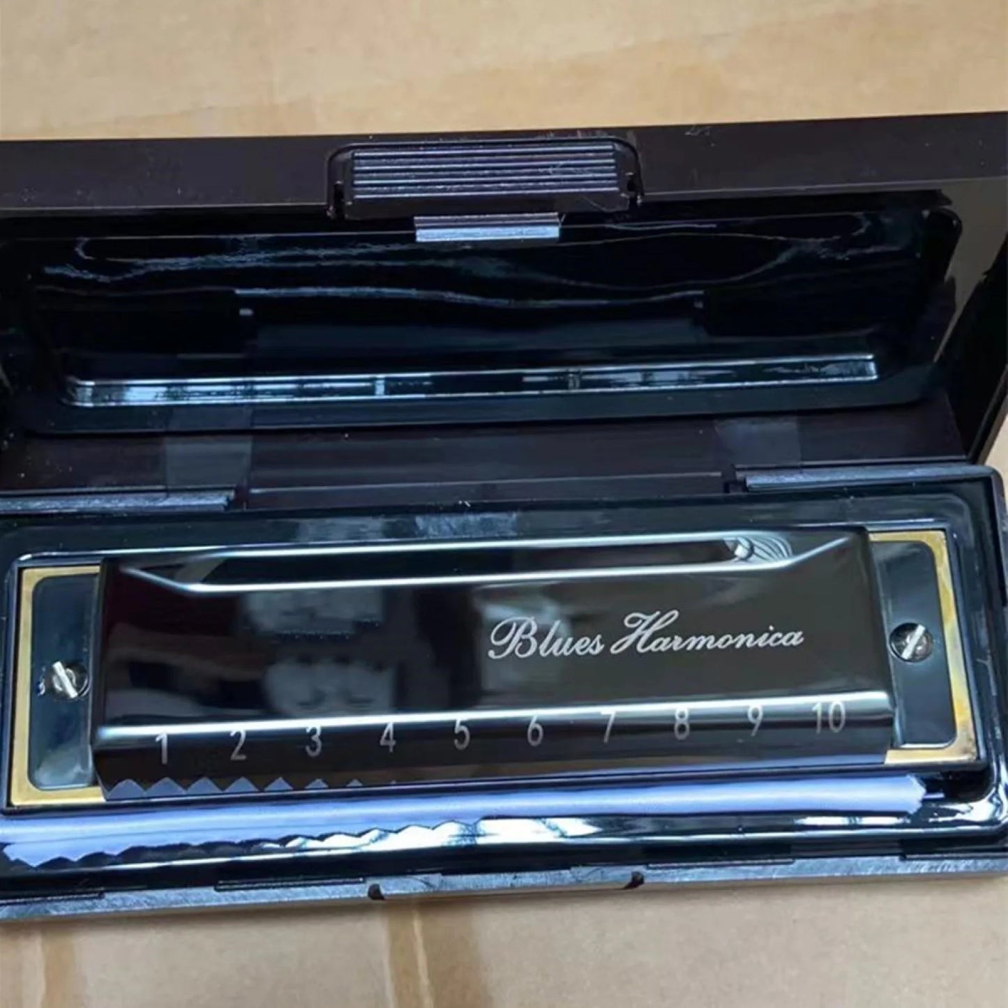 10 Hole C Harmonica Blues Harp Phosphor Bronze Reeds Beginner Case Kit