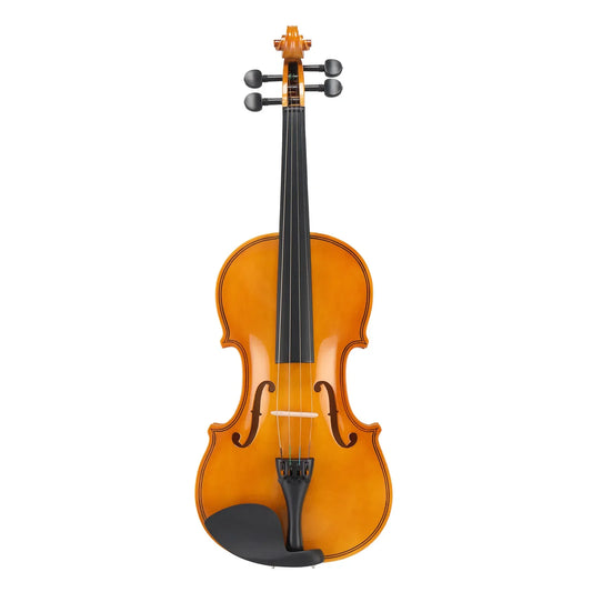 Violin Set For Beginners With Case Bow Rosin Extras
