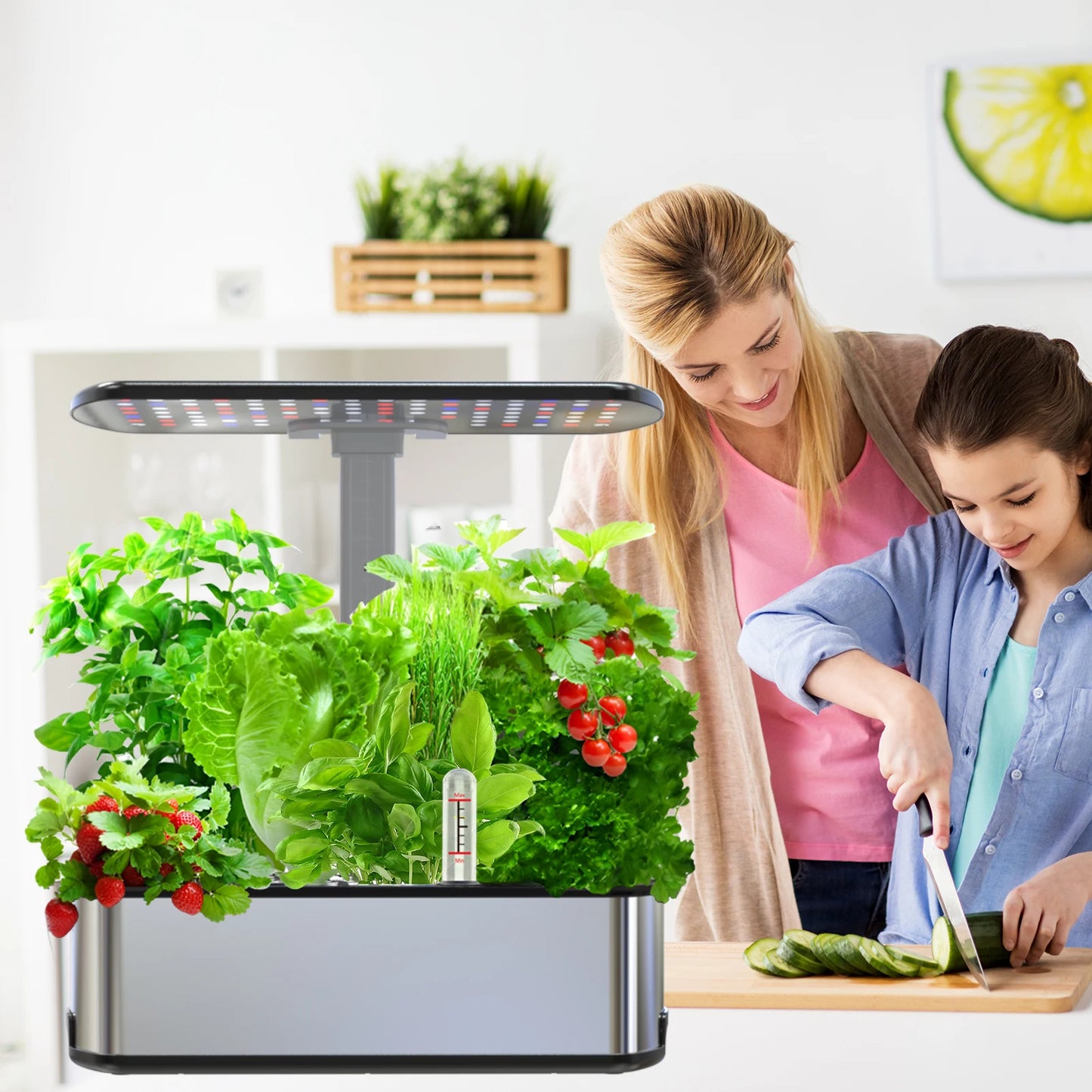 BHTNYOO Hydroponic Indoor Garden Kit with LED Grow Lights