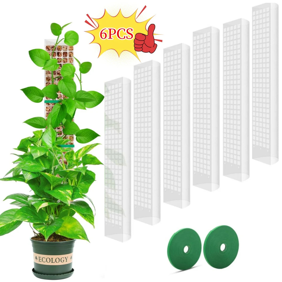 Moss Pole Plant Support for Climbing Plants
