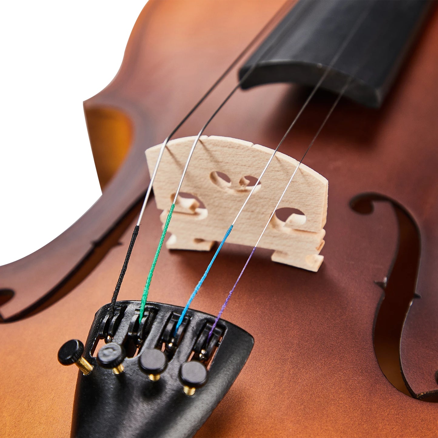 1/2 Acoustic Violin Set (includes Case, Bow, Rosin, Tuner, Shoulder Rest, Strings, and Tone Mark)