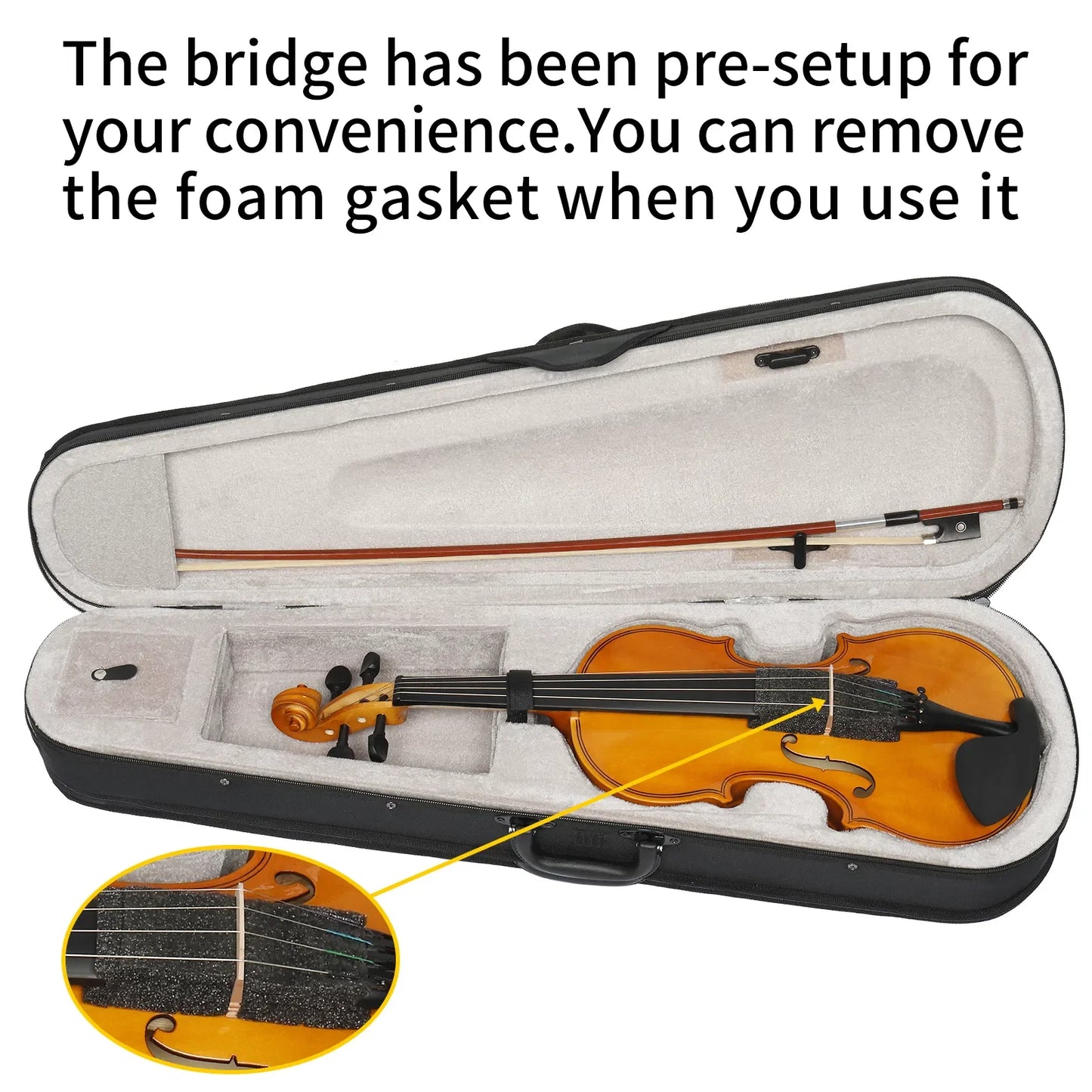 Violin Set For Beginners With Case Bow Rosin Extras
