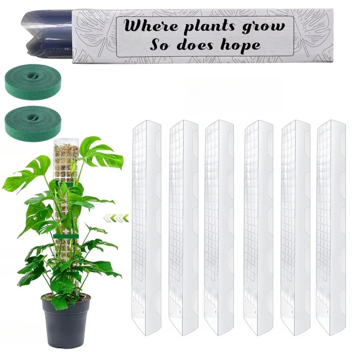Moss Pole Plant Support for Climbing Plants