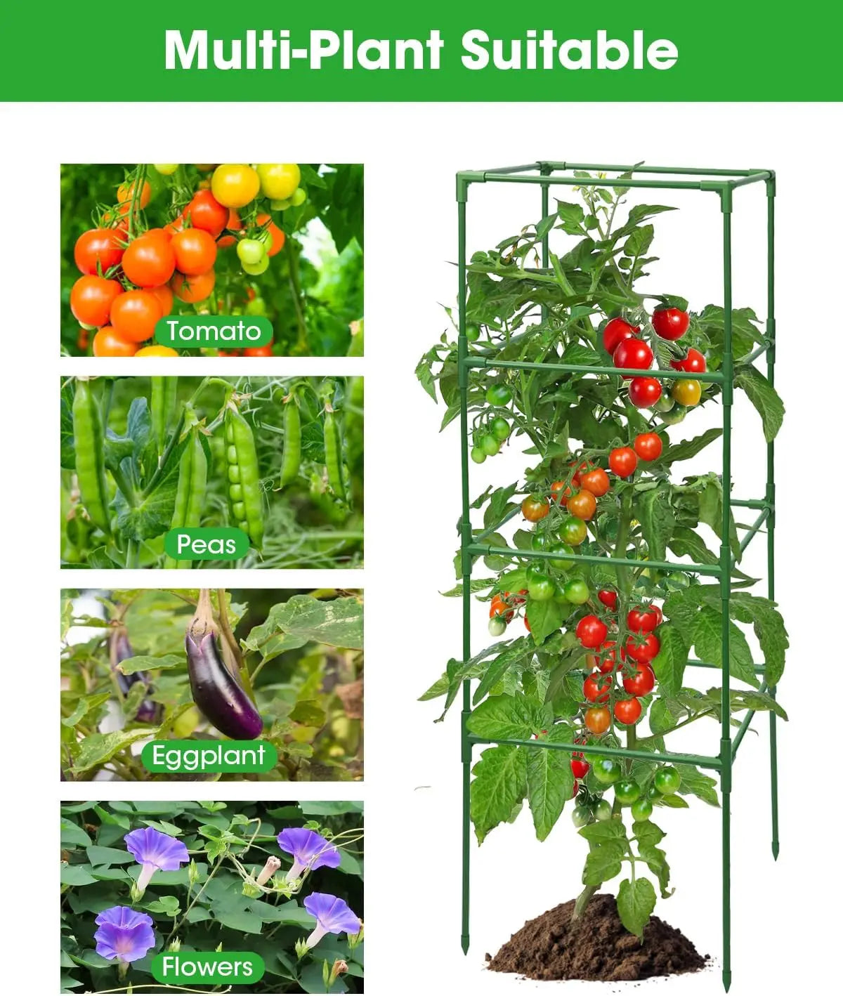 Six-Pack Square Tomato Cages, Adjustable Plant Trellis