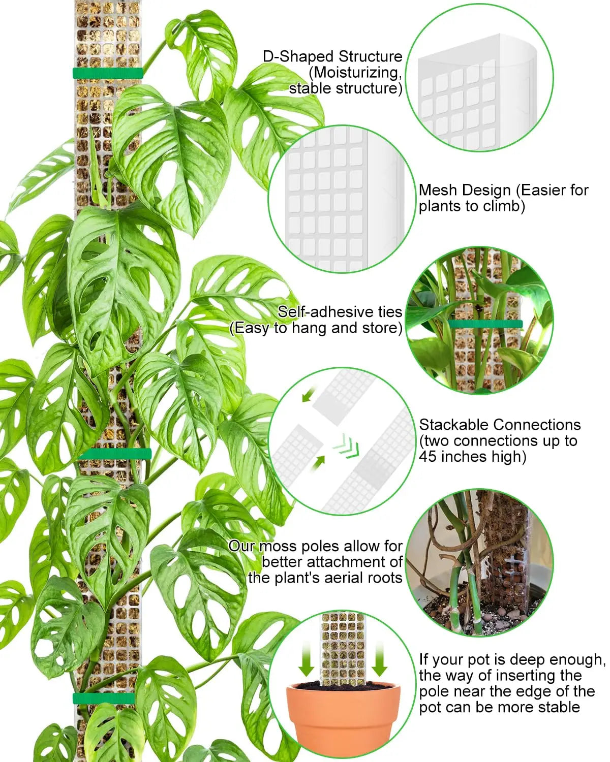 Moss Pole Plant Support for Climbing Plants