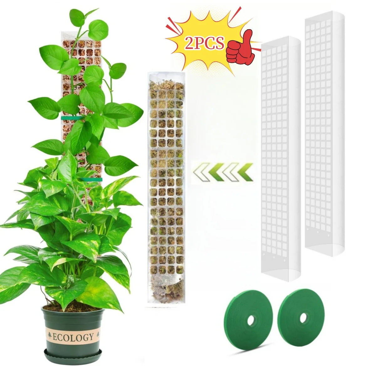 Moss Pole Plant Support for Climbing Plants