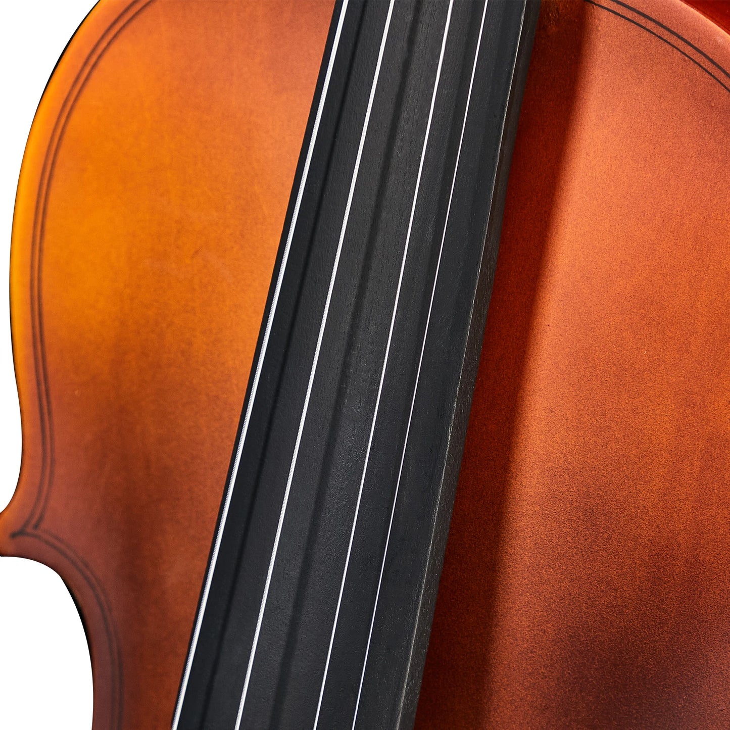 1/2 Acoustic Violin Set (includes Case, Bow, Rosin, Tuner, Shoulder Rest, Strings, and Tone Mark)
