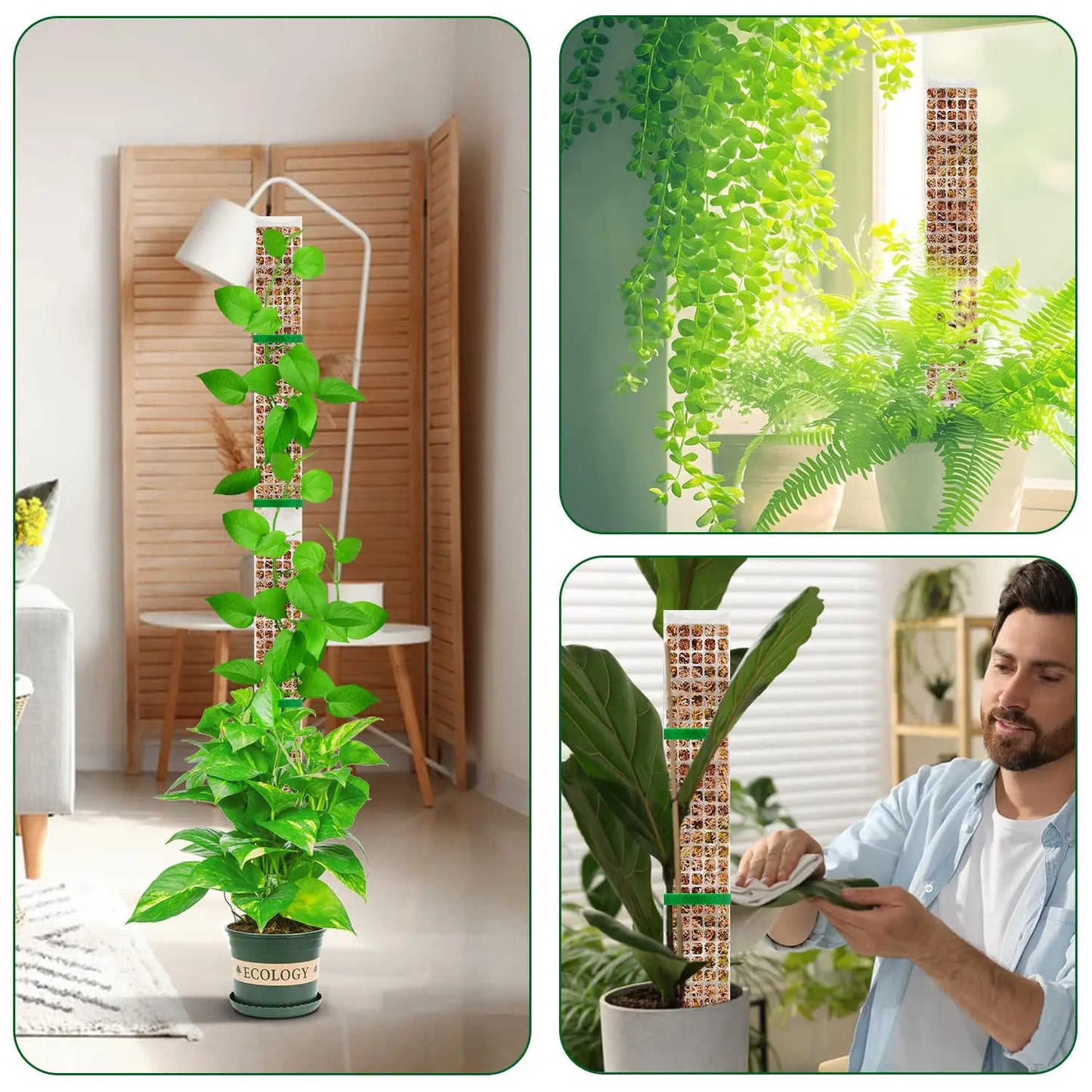Moss Pole Plant Support for Climbing Plants