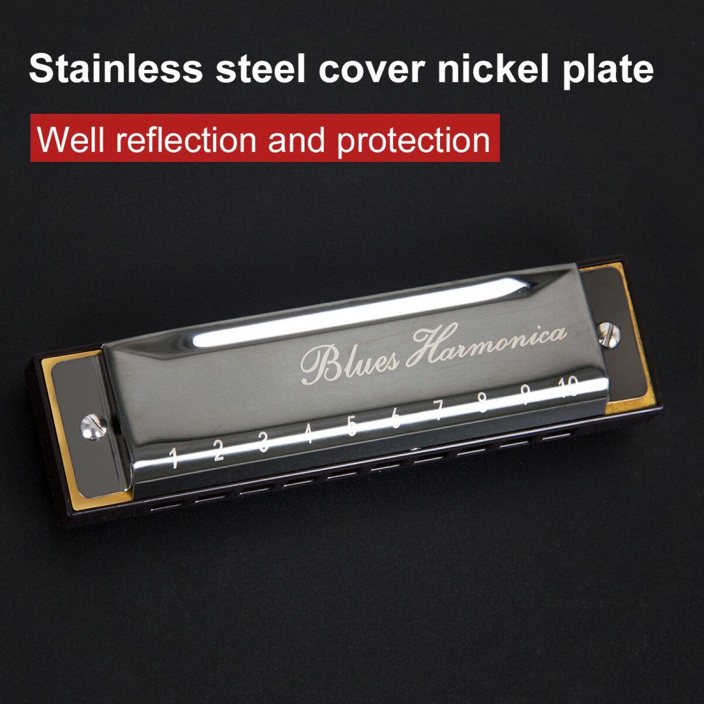 10 Hole C Harmonica Blues Harp Phosphor Bronze Reeds Beginner Case Kit